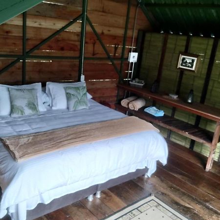 Ecohotel Pinohermoso Reserva Natural Salento Bagian luar foto