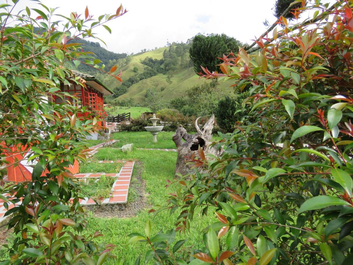 Ecohotel Pinohermoso Reserva Natural Salento Bagian luar foto