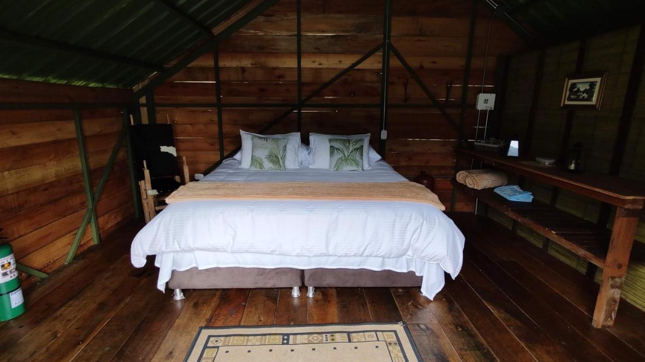Ecohotel Pinohermoso Reserva Natural Salento Bagian luar foto