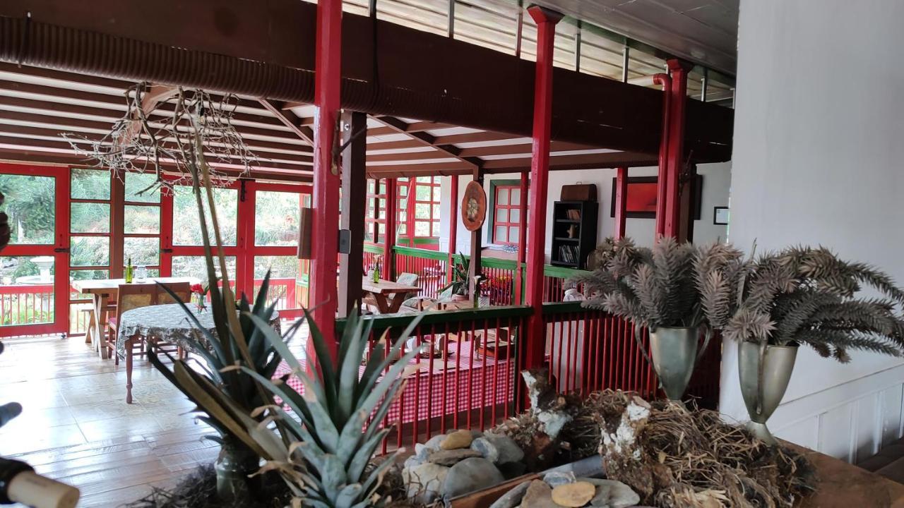 Ecohotel Pinohermoso Reserva Natural Salento Bagian luar foto