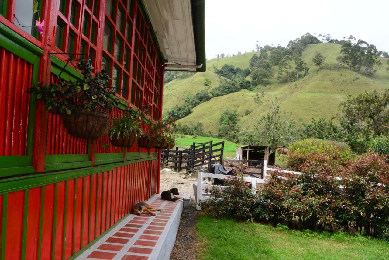 Ecohotel Pinohermoso Reserva Natural Salento Bagian luar foto
