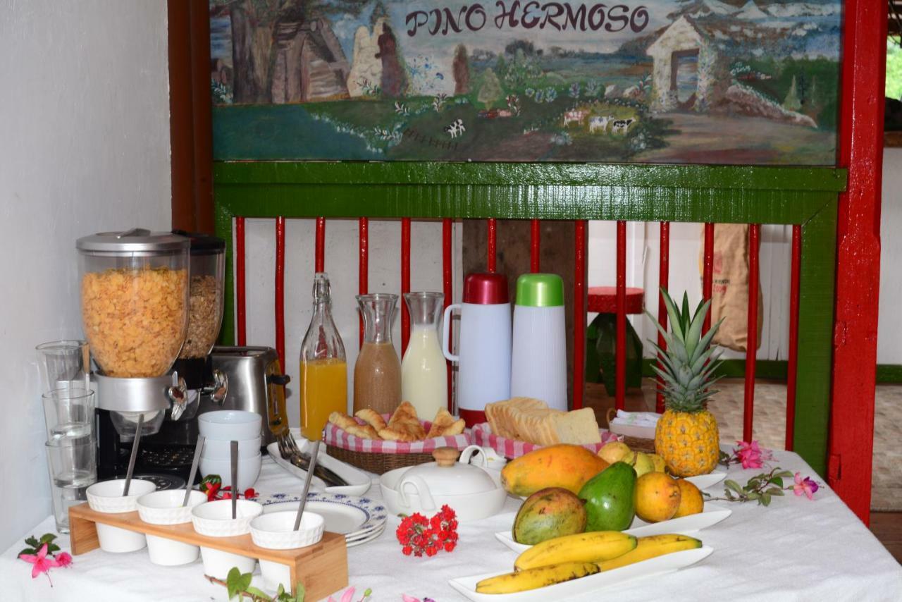 Ecohotel Pinohermoso Reserva Natural Salento Bagian luar foto