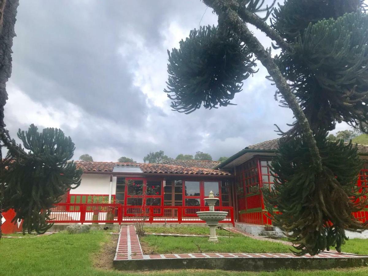Ecohotel Pinohermoso Reserva Natural Salento Bagian luar foto